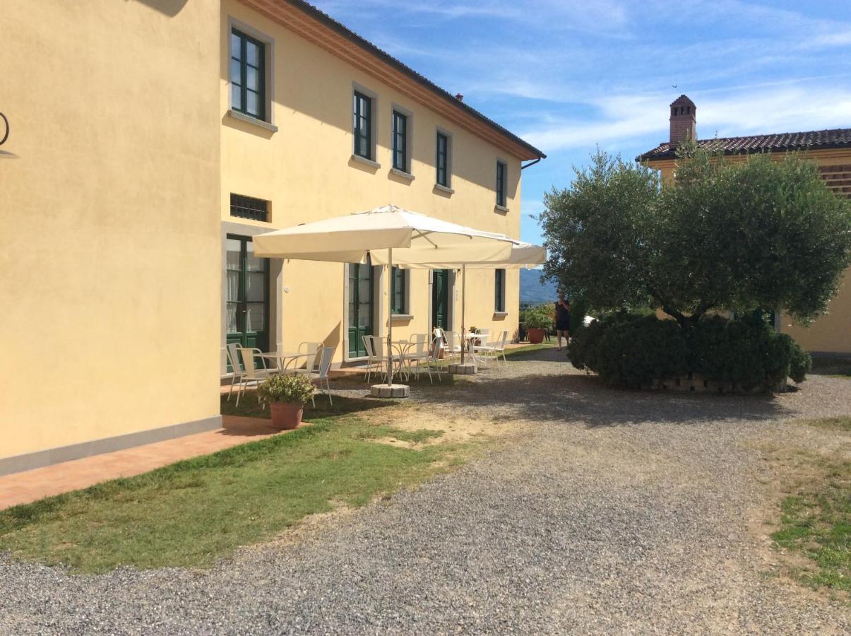 Agriturismo Musignano 切雷托圭迪 外观 照片