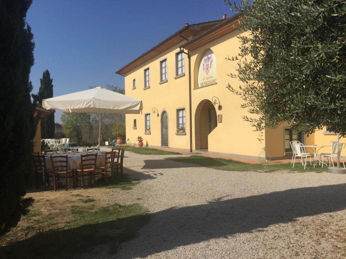 Agriturismo Musignano 切雷托圭迪 外观 照片