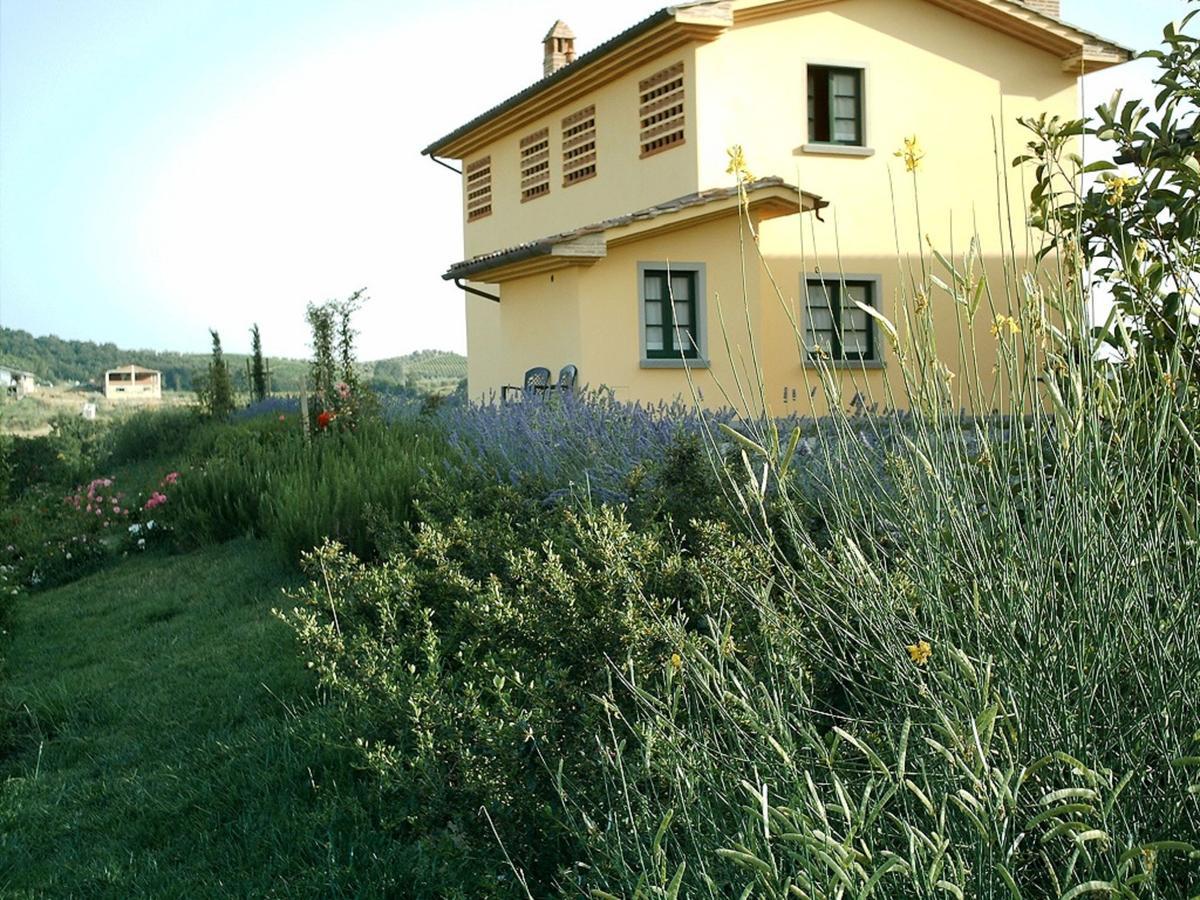 Agriturismo Musignano 切雷托圭迪 外观 照片