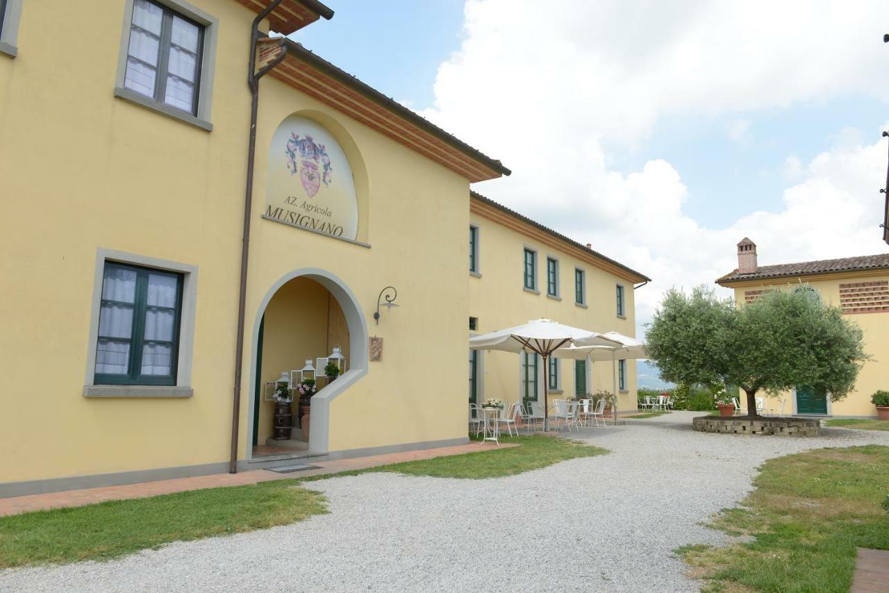 Agriturismo Musignano 切雷托圭迪 外观 照片